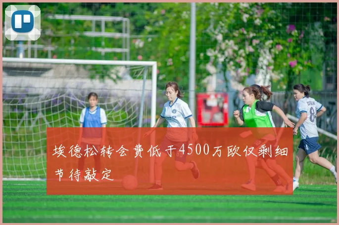 埃德松转会费低于4500万欧仅剩细节待敲定
