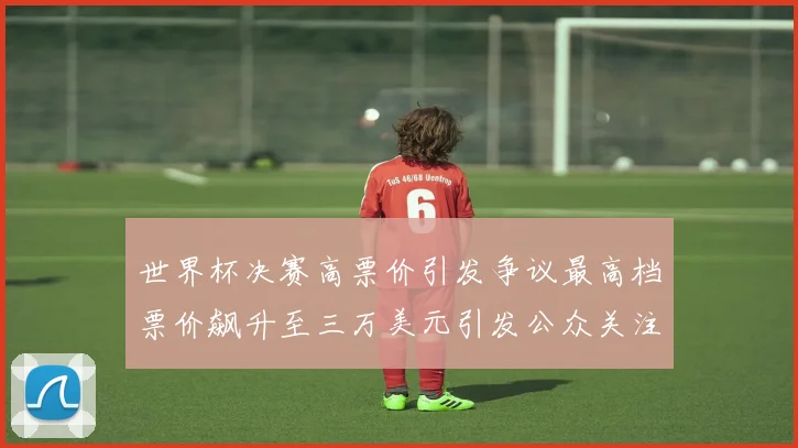 世界杯决赛高票价引发争议最高档票价飙升至三万美元引发公众关注